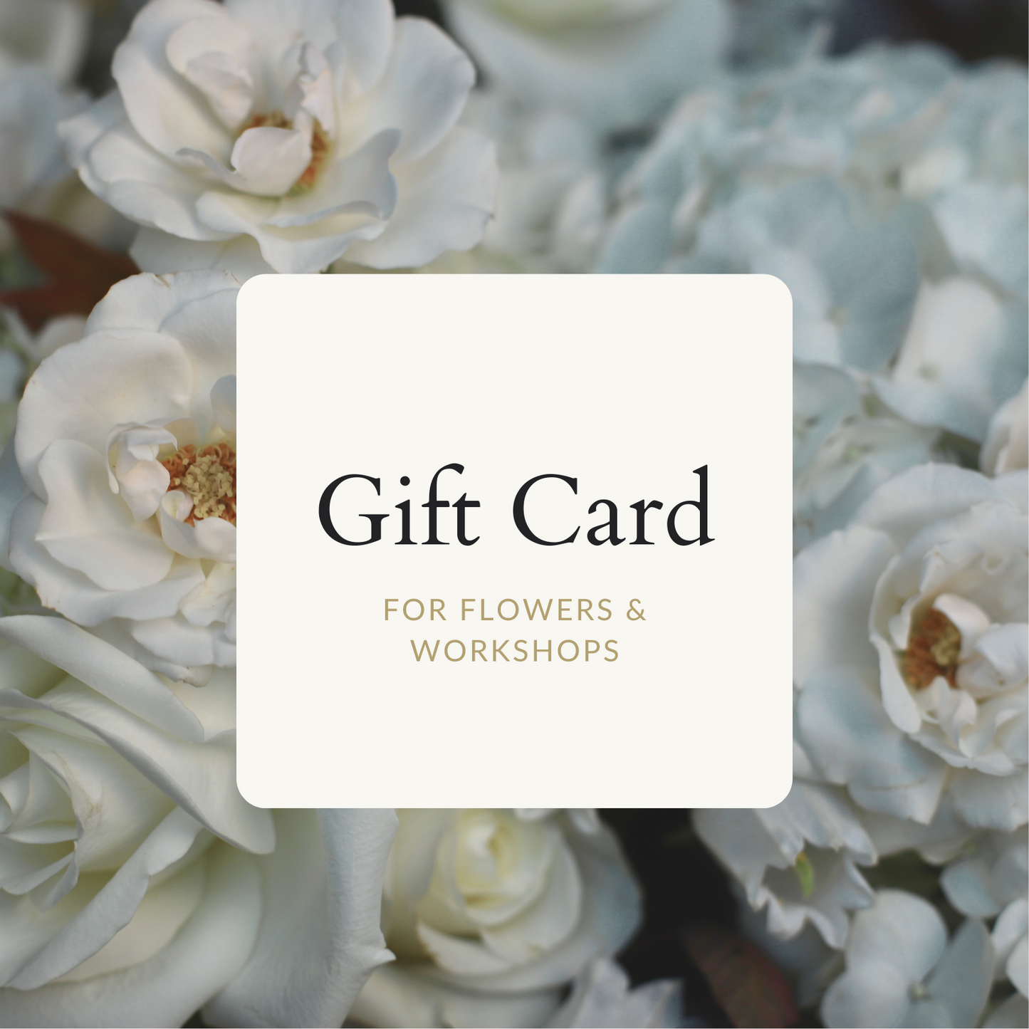 Solstice Floral Gift Card