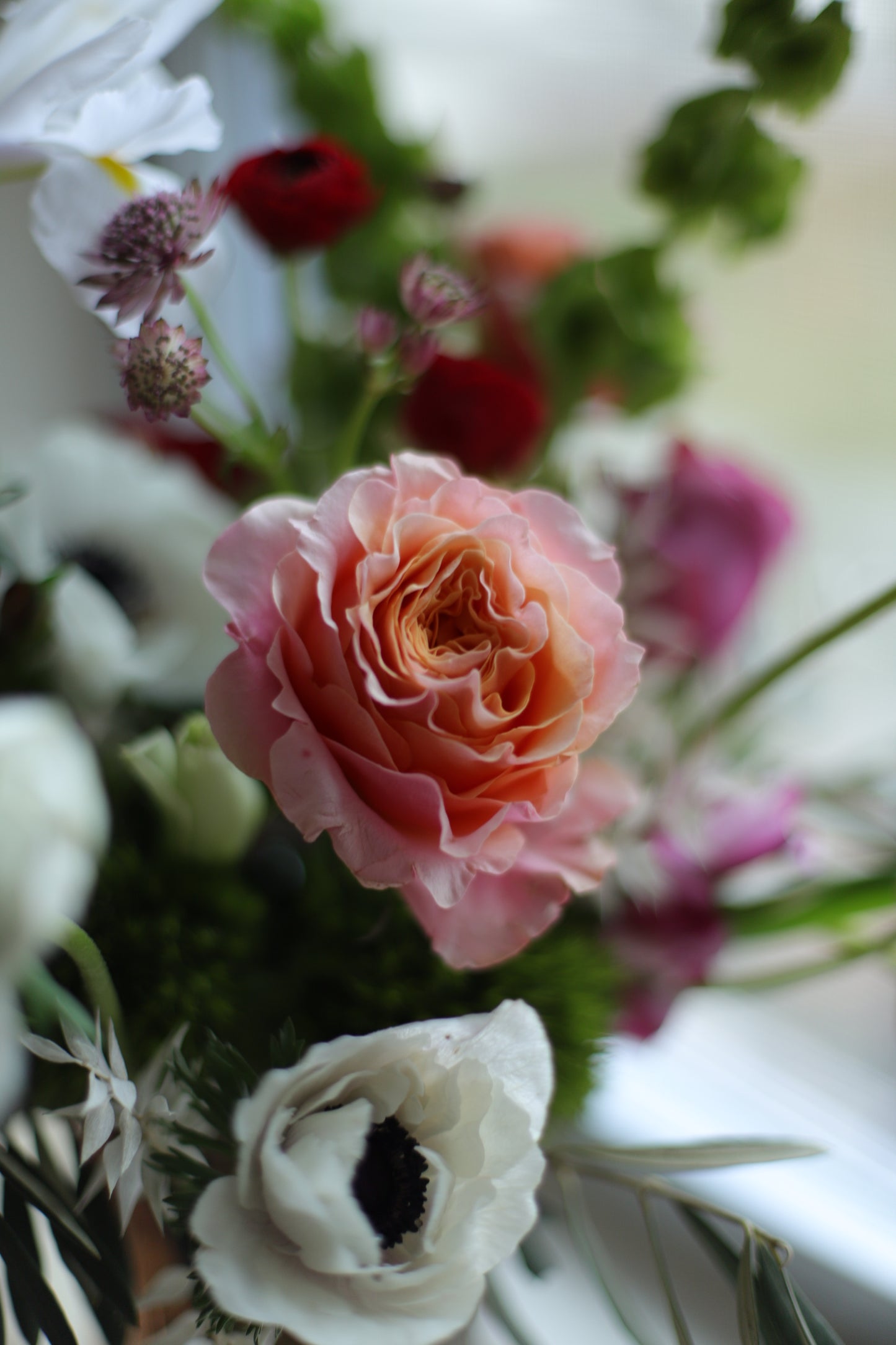 Bellini Vase | Valentine's Arrangement