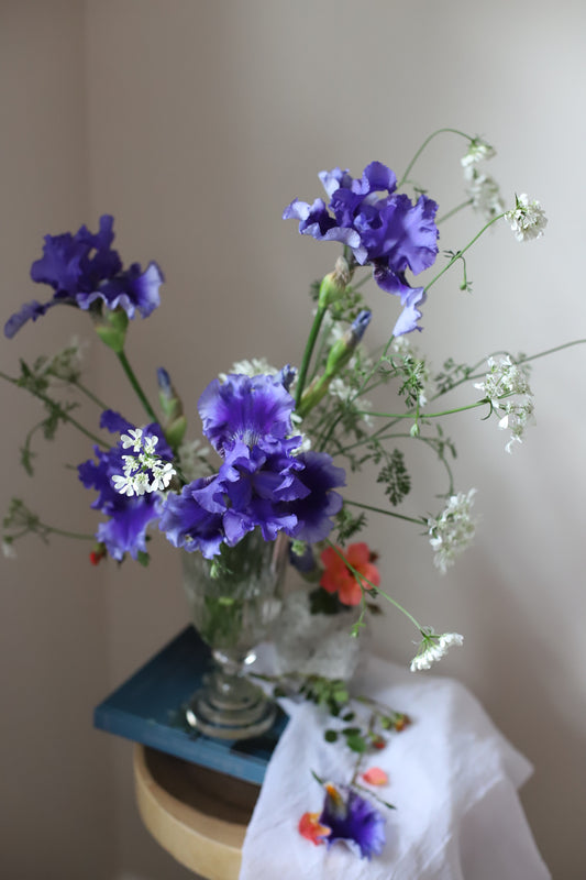 small flower arrangement of purple iris